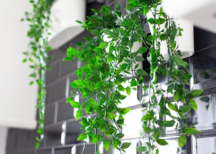 Castle House Semesterbostad *